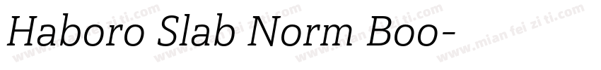 Haboro Slab Norm Boo字体转换